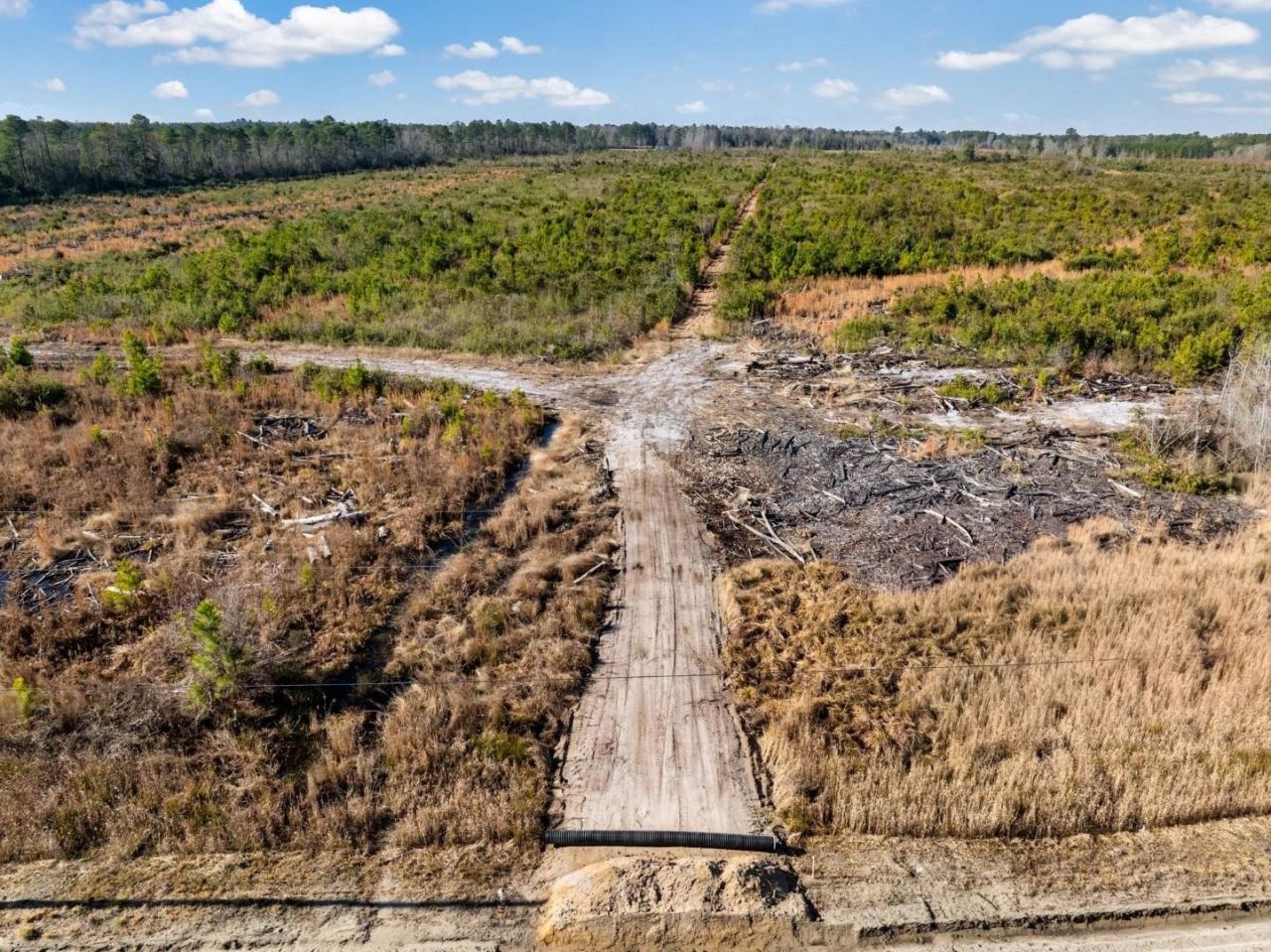 100 Acres Fifteen Mile Bay Rd. Photo 11