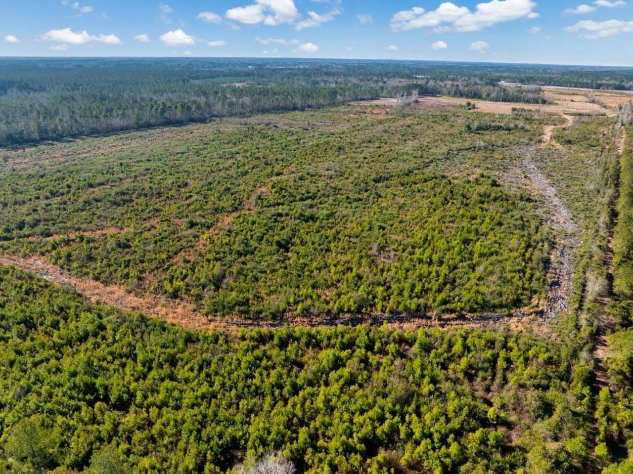 100 Acres Fifteen Mile Bay Rd. Photo 12