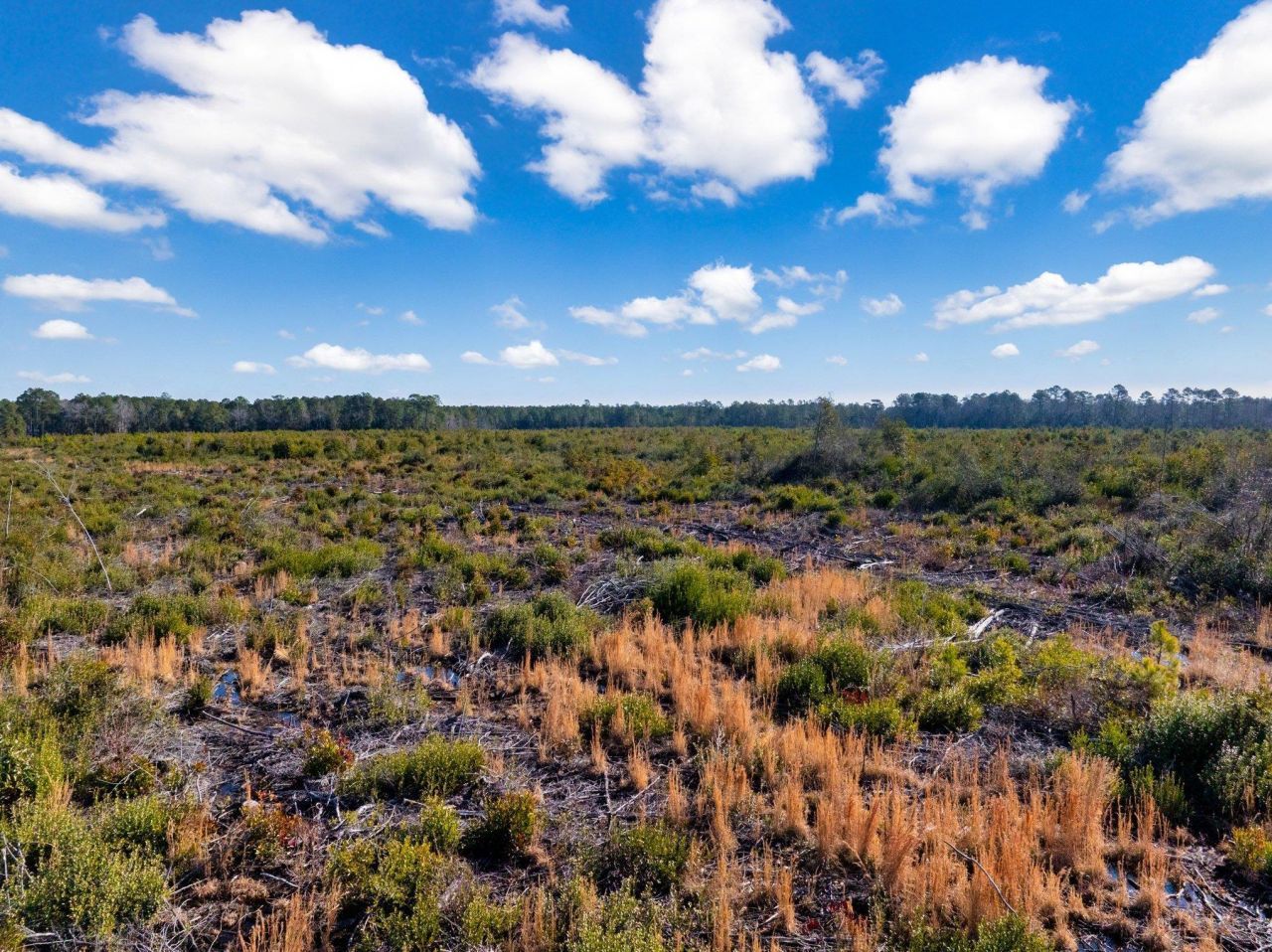 100 Acres Fifteen Mile Bay Rd. Photo 14