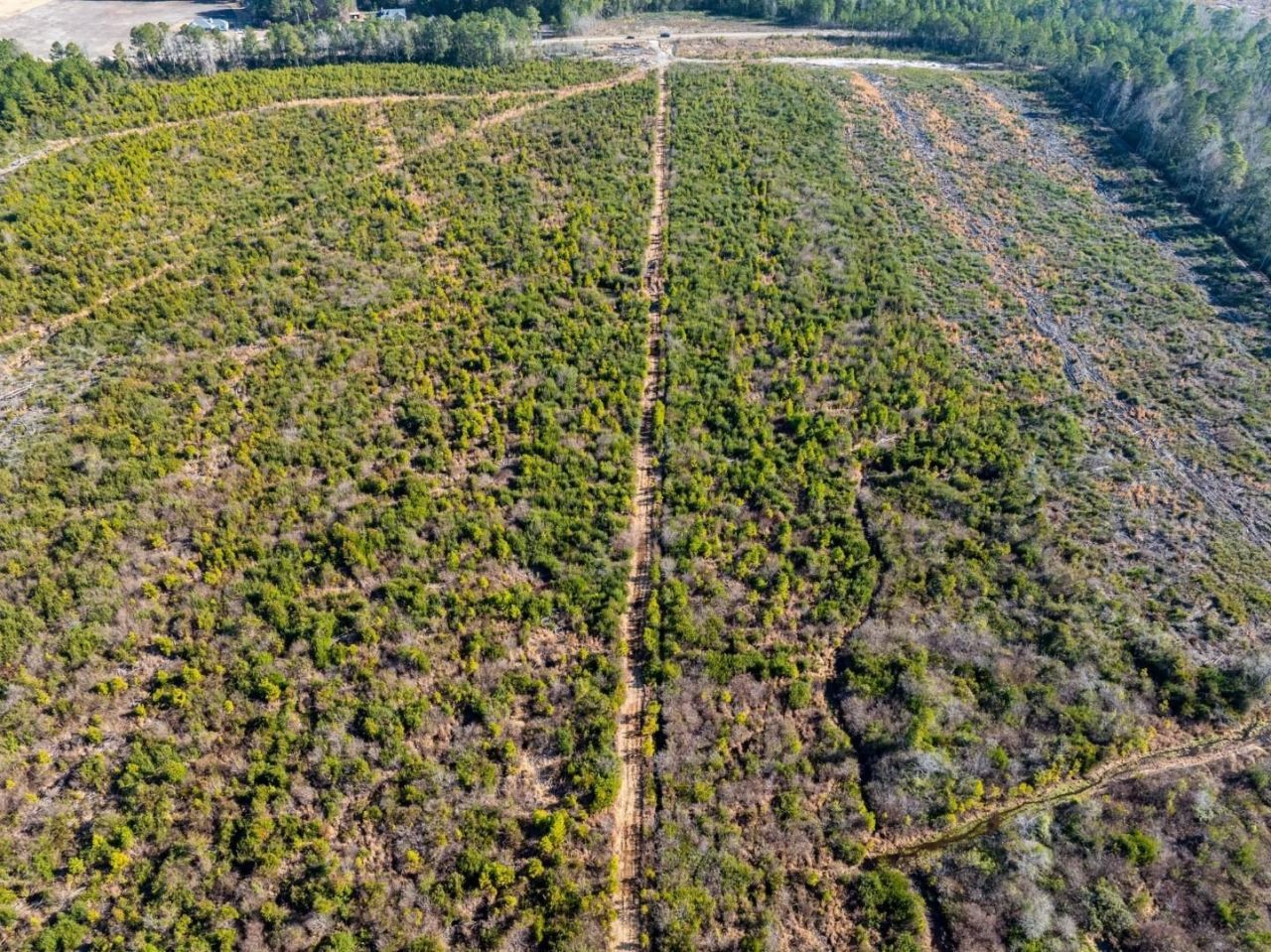 100 Acres Fifteen Mile Bay Rd. Photo 16