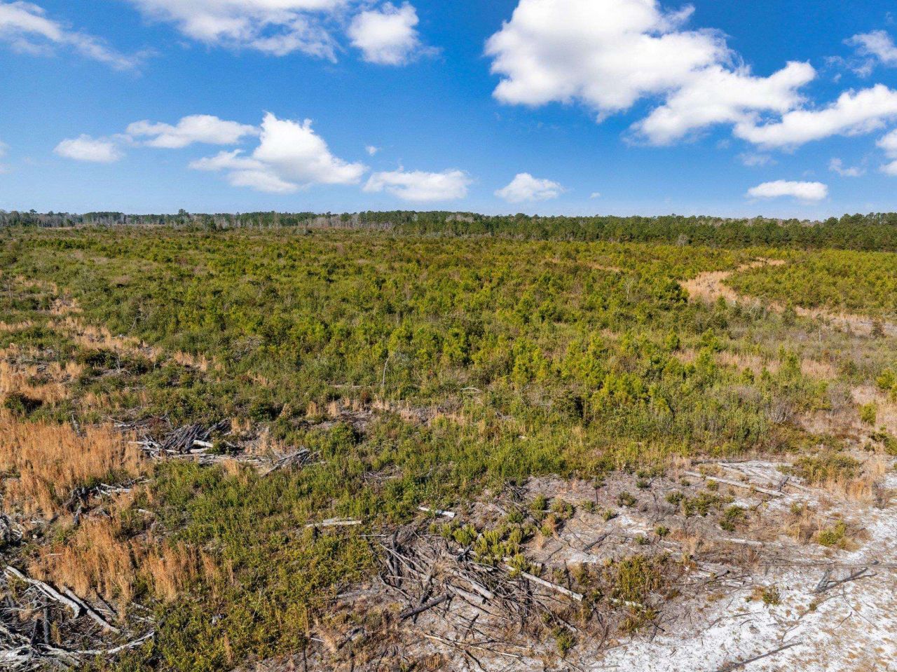 100 Acres Fifteen Mile Bay Rd. Photo 17