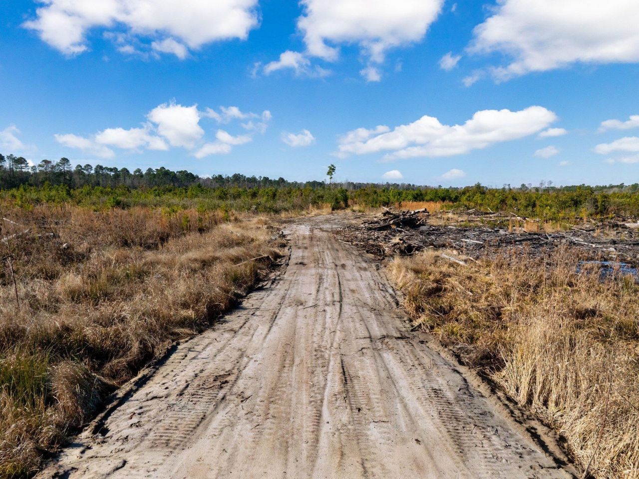 100 Acres Fifteen Mile Bay Rd. Photo 18