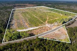 100 Acres Fifteen Mile Bay Rd. photo 4