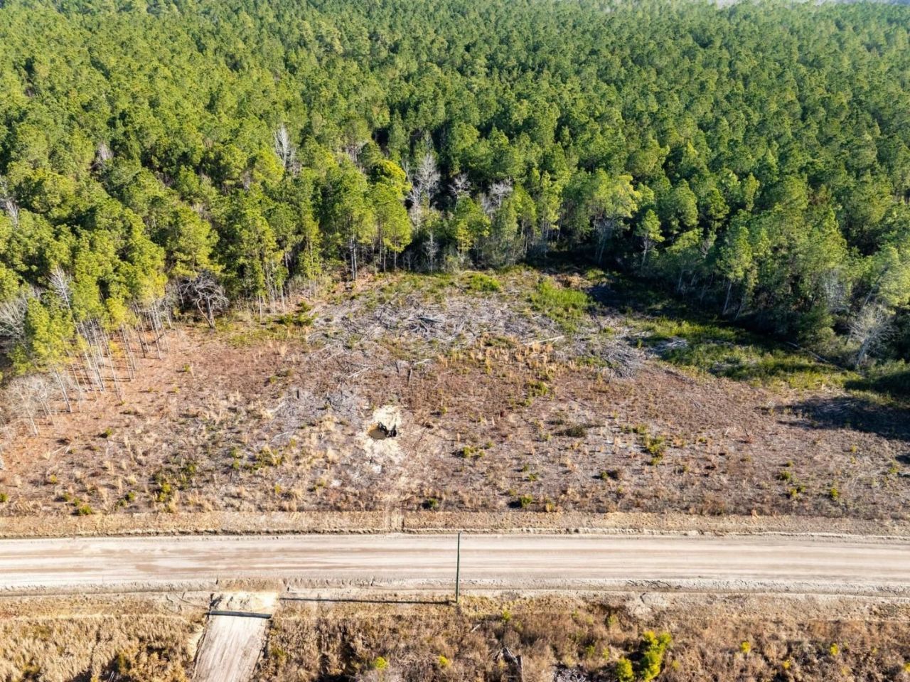 100 Acres Fifteen Mile Bay Rd. Photo 20