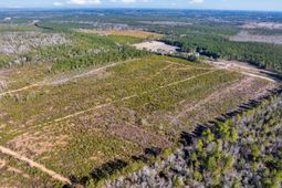 100 Acres Fifteen Mile Bay Rd. photo 4