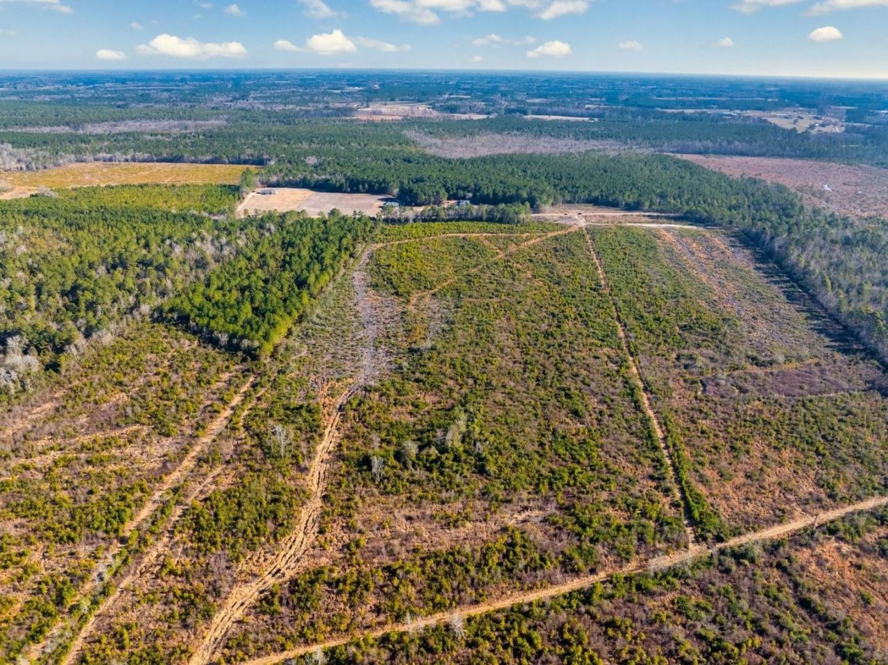 100 Acres Fifteen Mile Bay Rd. Photo 4