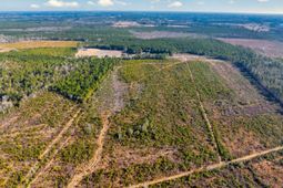 100 Acres Fifteen Mile Bay Rd. photo 4