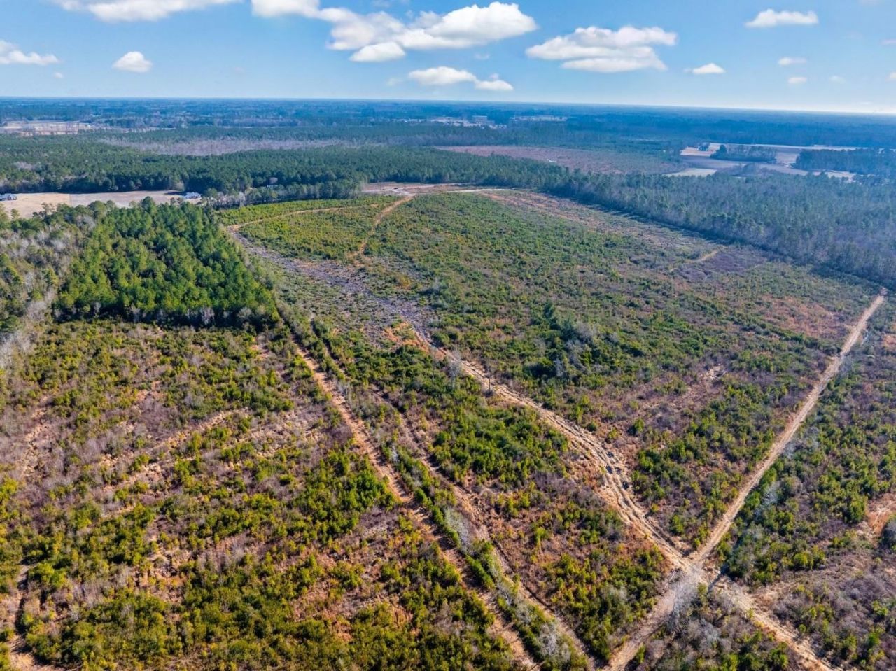 100 Acres Fifteen Mile Bay Rd. Photo 5