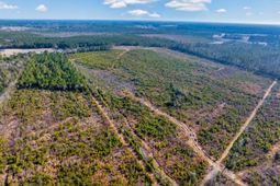 100 Acres Fifteen Mile Bay Rd. photo 4