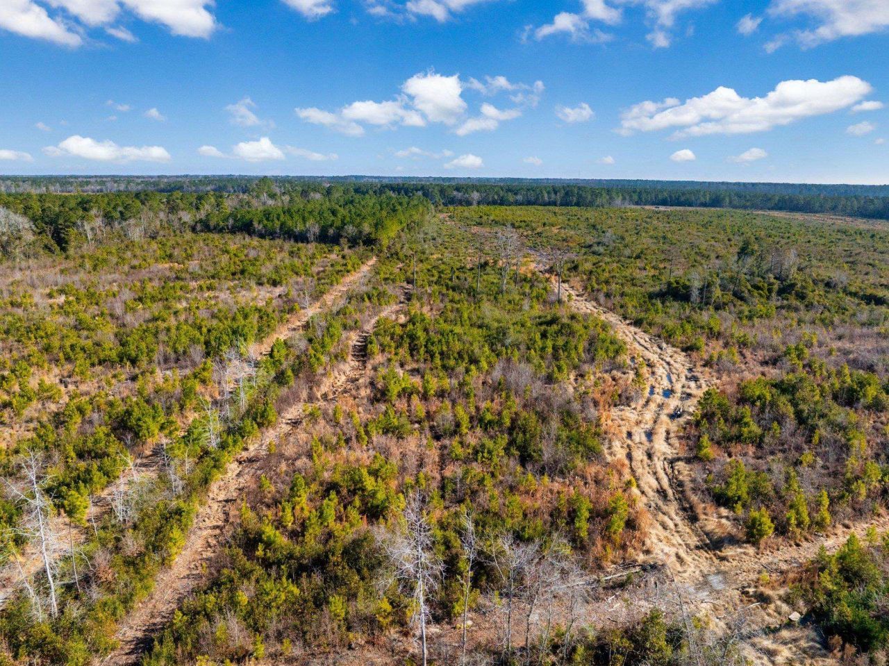 100 Acres Fifteen Mile Bay Rd. Photo 6