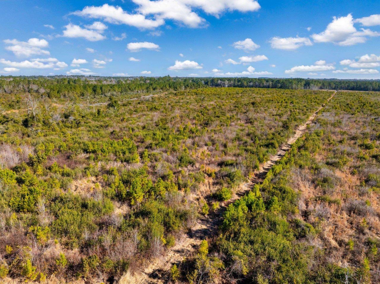 100 Acres Fifteen Mile Bay Rd. Photo 7