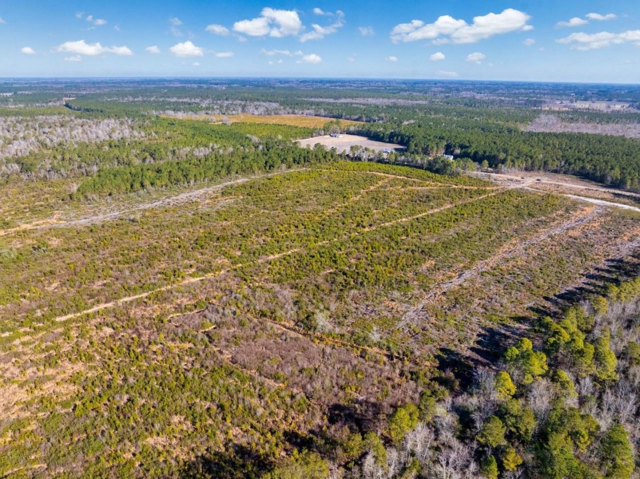 100 Acres Fifteen Mile Bay Rd. Photo 8