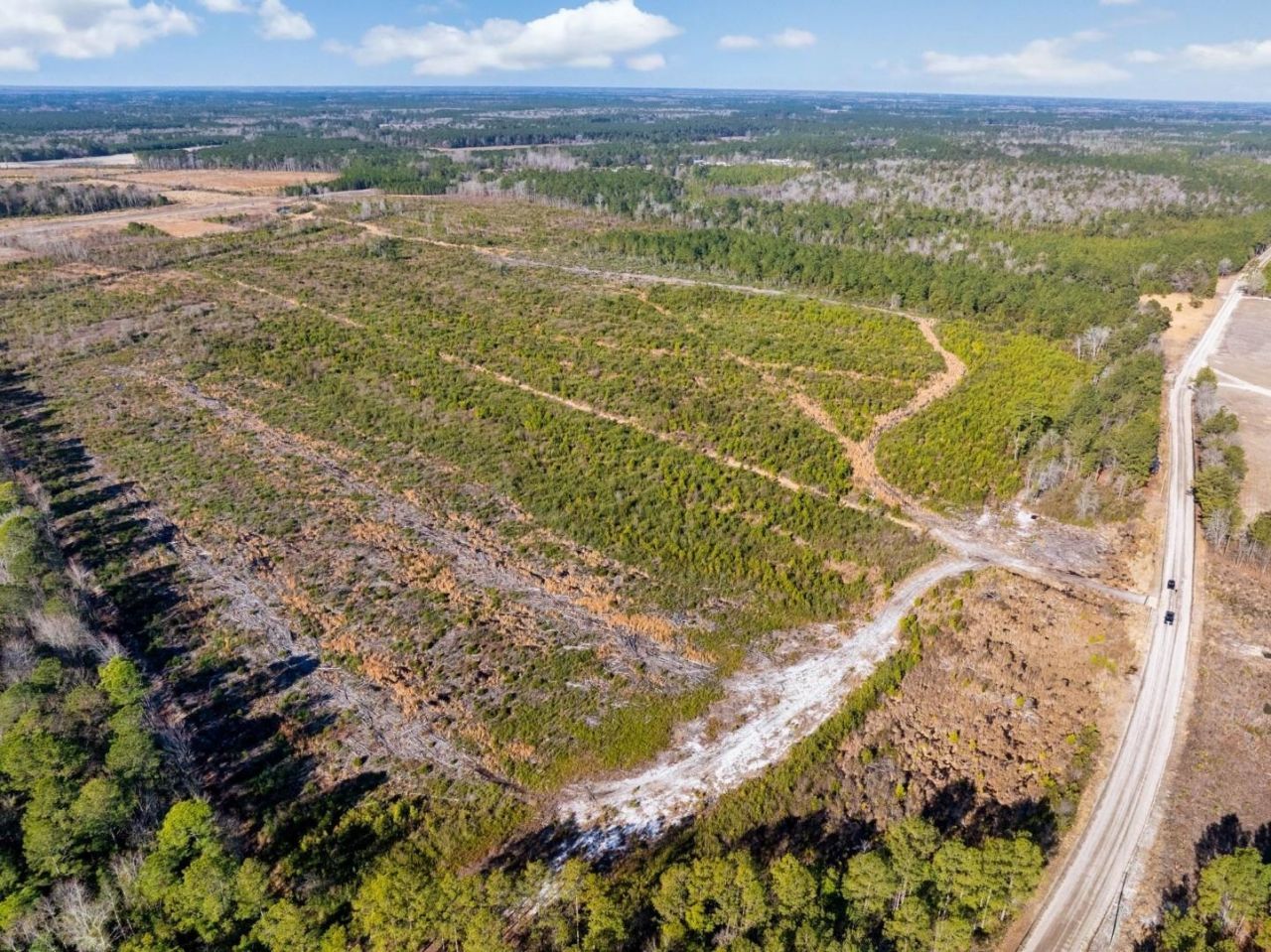 100 Acres Fifteen Mile Bay Rd. Photo 9