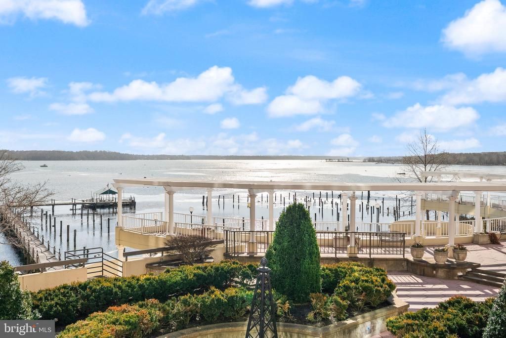 1250 S Washington Street, Unit 215, Alexandria, VA 22314 Main Photo