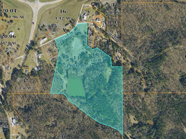 28.7 ac Bridgman Loop, Pontotoc, MS 38863