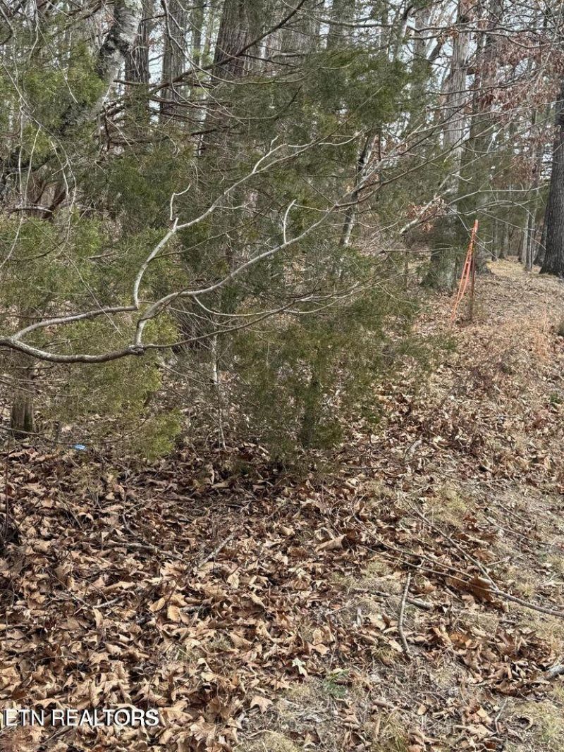 321 Ritchey Rd, Loudon, TN 37774 Main Photo