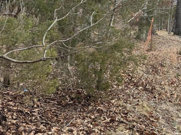 321 Ritchey Rd, Loudon, TN 37774