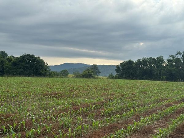 27.4 ACS N Hwy 111, Byrdstown, TN 38549