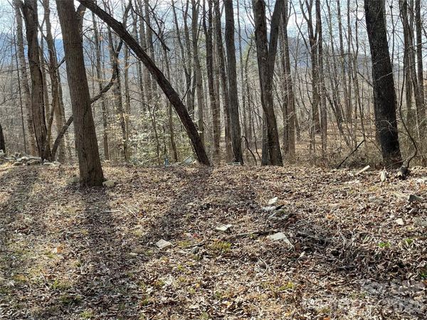 000 Max Metcalf Road, Swannanoa, NC 28778