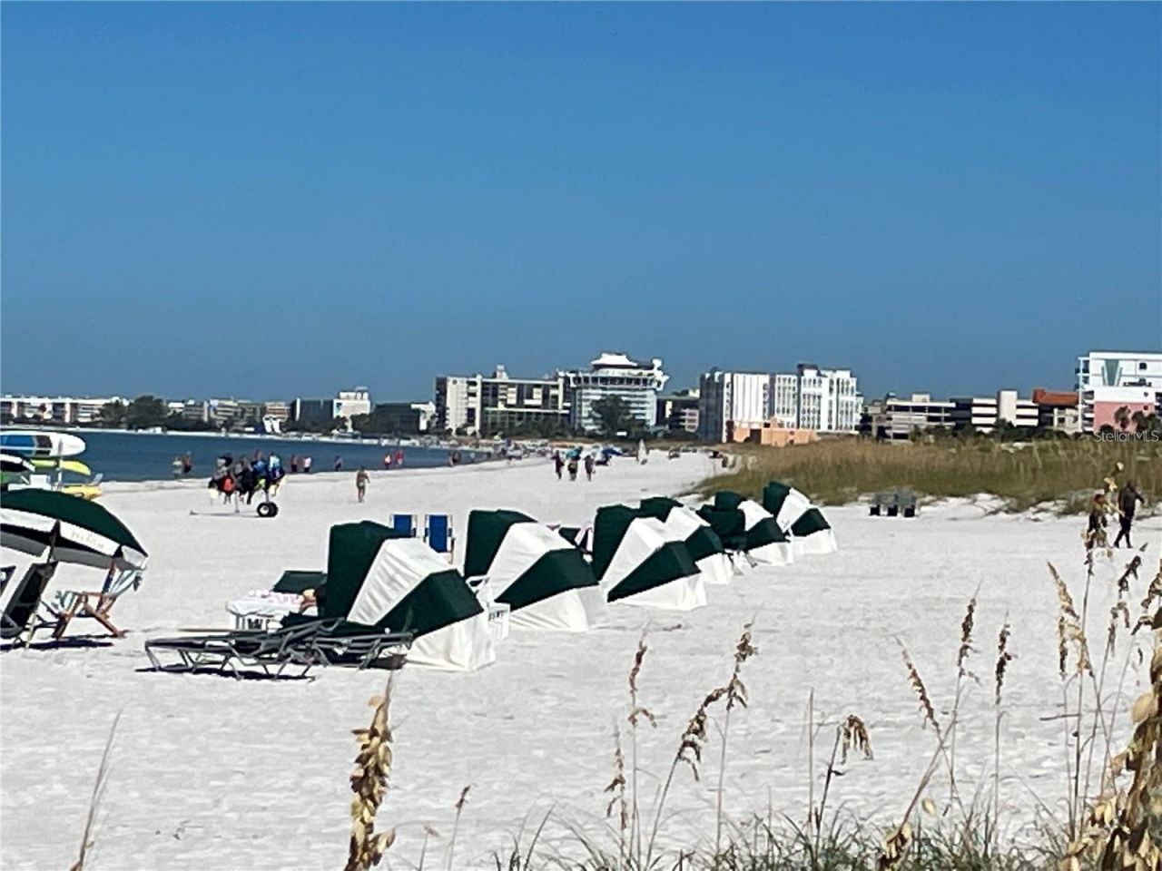 1000 Rafael Boulevard Ne, Unit 2, Saint Petersburg, FL 33704 Photo