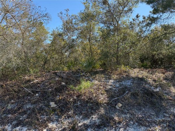 MCBRIDE AVENUE, DELTONA, FL 32725