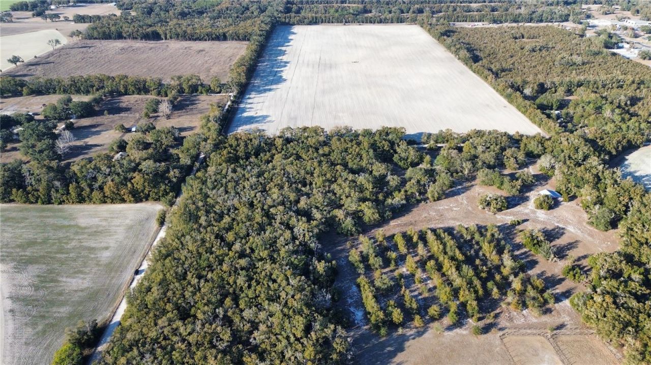 3829 Rodeo Road, Bell, FL 32619 Photo