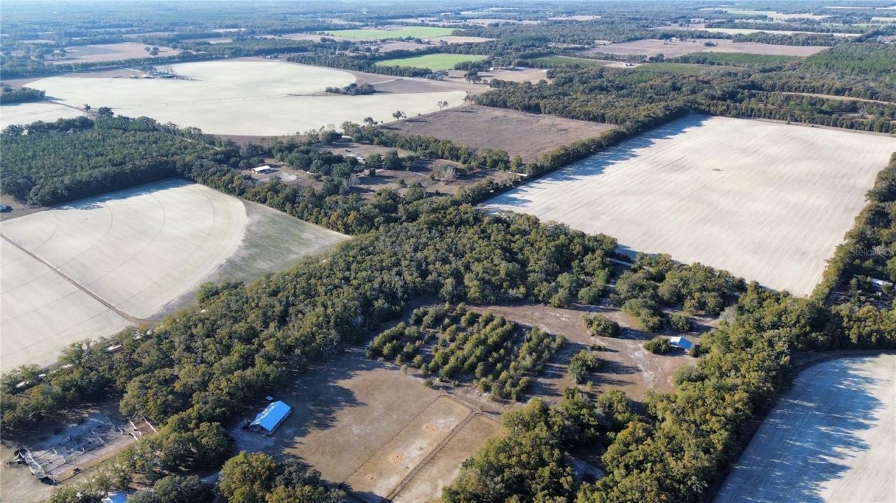 3829 Rodeo Road, Bell, FL 32619 Photo