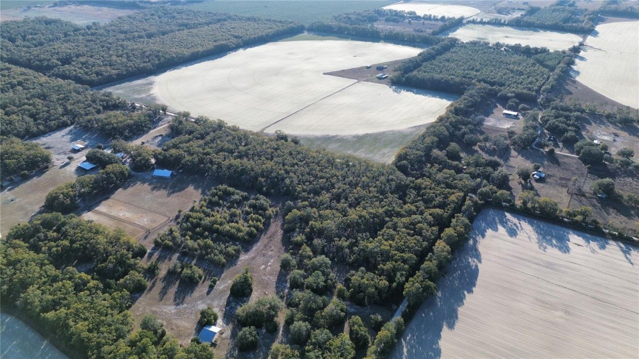 3829 Rodeo Road, Bell, FL 32619 Photo