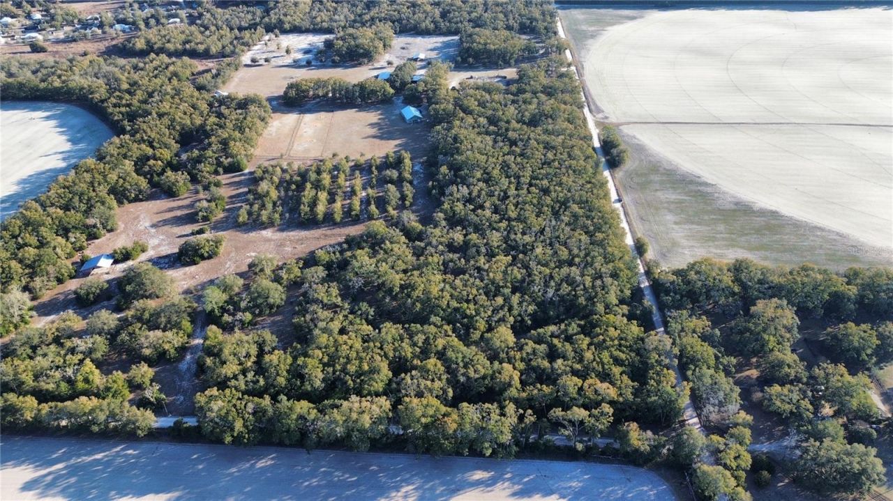 3829 Rodeo Road, Bell, FL 32619 Photo