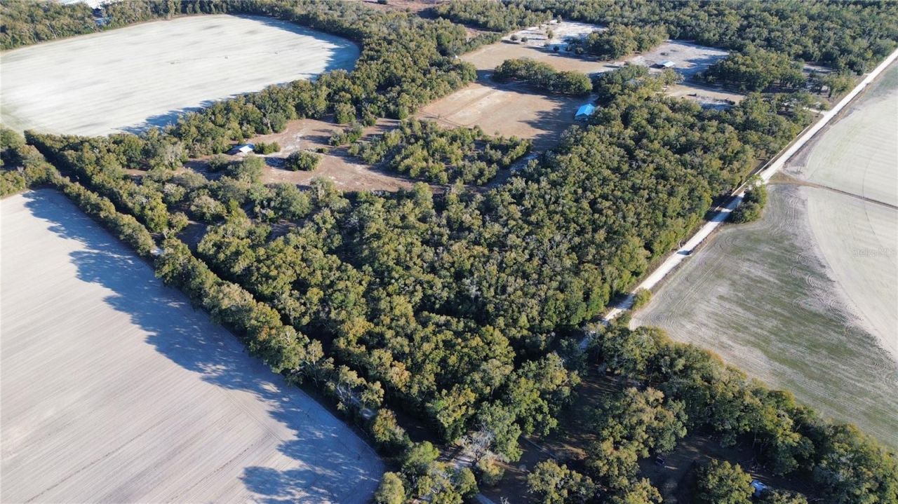 3829 Rodeo Road, Bell, FL 32619 Photo