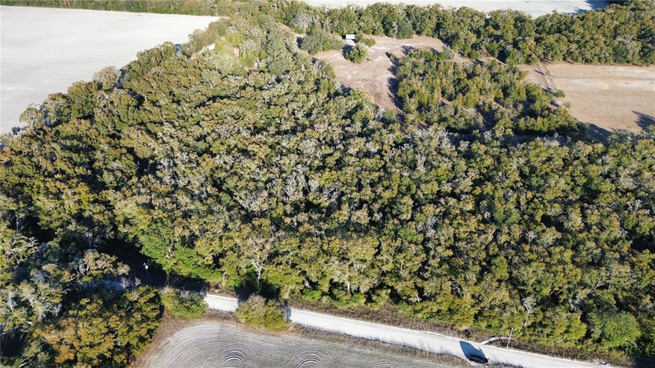 3829 Rodeo Road, Bell, FL 32619 Photo