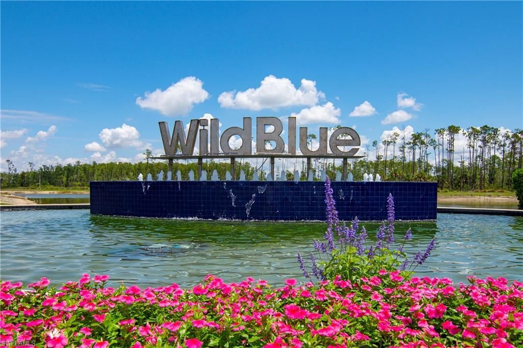 18500 Wildblue Blvd, Fort Myers, FL 33928 Photo