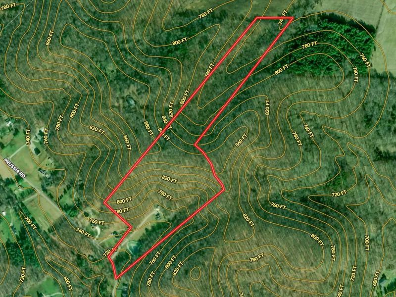 1256 Prussia Road, Waverly, OH 45690 Photo 18