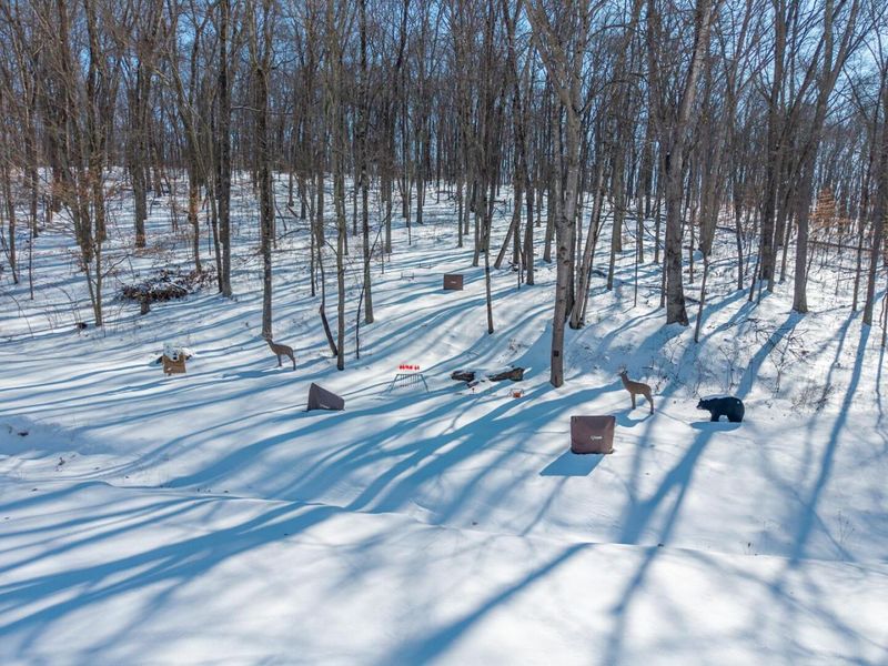 1256 Prussia Road, Waverly, OH 45690 Photo 82