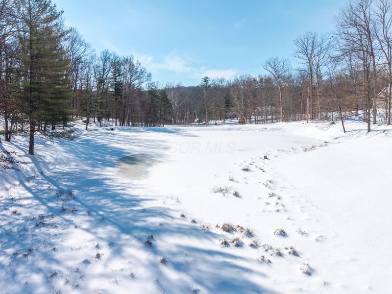 1256 Prussia Road, Waverly, OH 45690 Photo 84