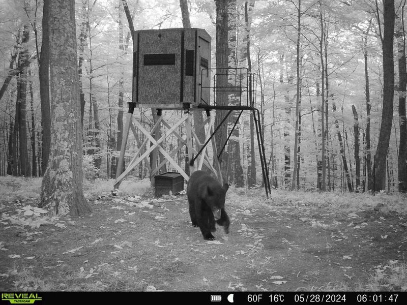 1256 Prussia Road, Waverly, OH 45690 Photo 88