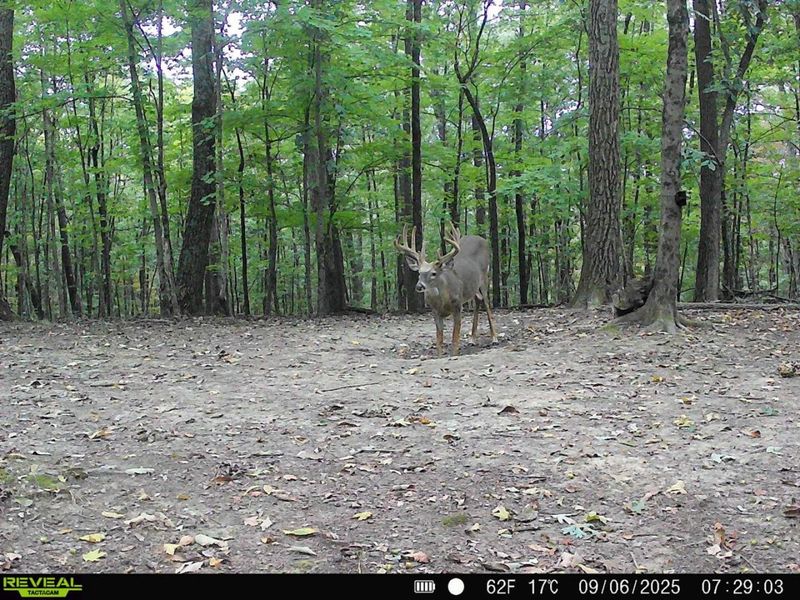 1256 Prussia Road, Waverly, OH 45690 Photo 91