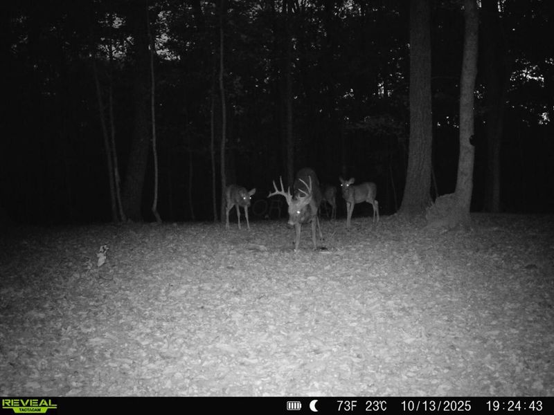 1256 Prussia Road, Waverly, OH 45690 Photo 92