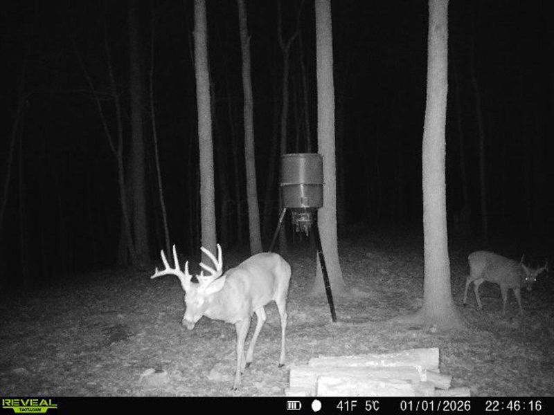 1256 Prussia Road, Waverly, OH 45690 Photo 94