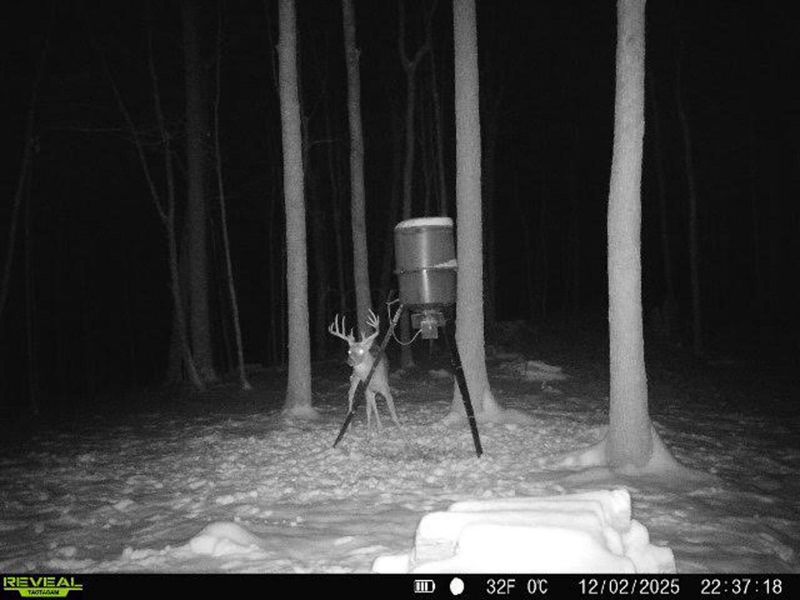 1256 Prussia Road, Waverly, OH 45690 Photo 95