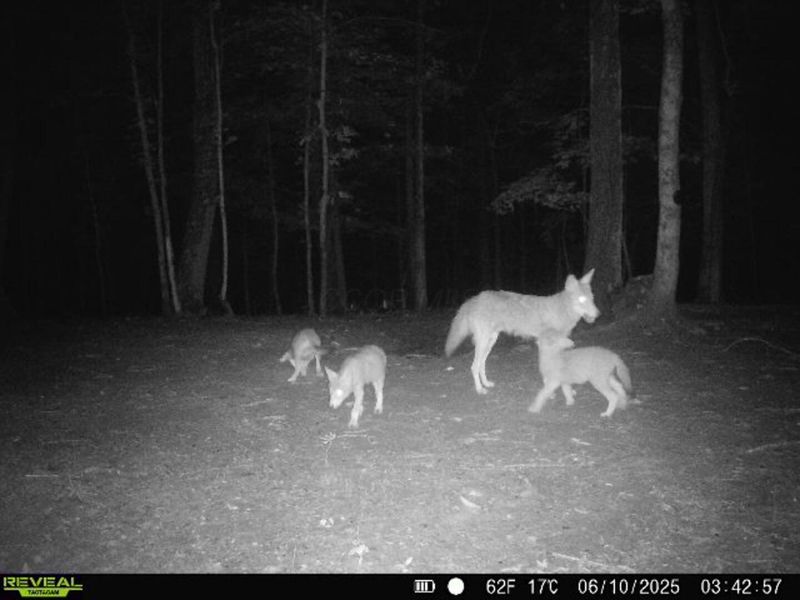 1256 Prussia Road, Waverly, OH 45690 Photo 96