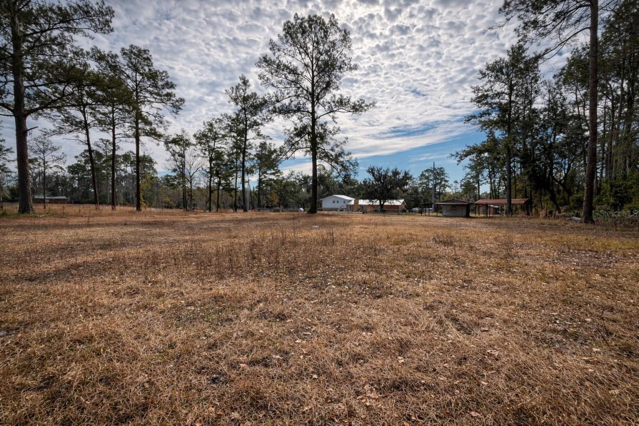 355 SW Marvin Burnett Road, Lake City, FL 32025 Photo