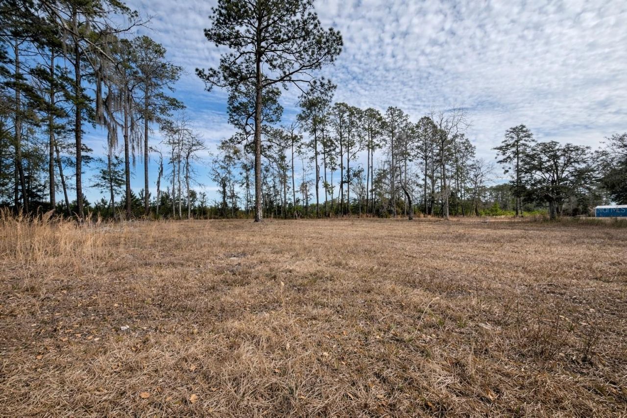 355 SW Marvin Burnett Road, Lake City, FL 32025 Photo