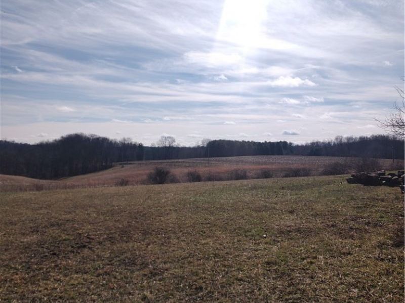 11973 Virtue Road, Kimbolton, OH 43716 Photo 10