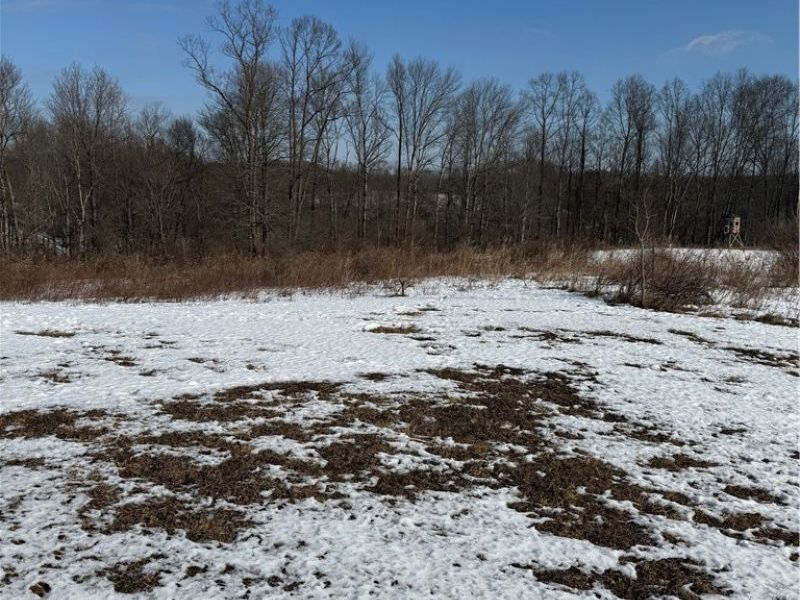 11973 Virtue Road, Kimbolton, OH 43716 Photo 3