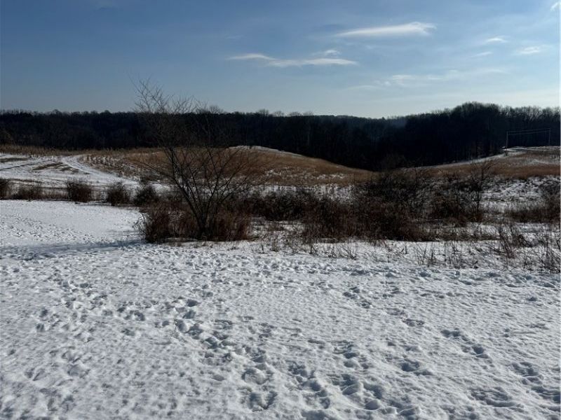 11973 Virtue Road, Kimbolton, OH 43716 Photo 5