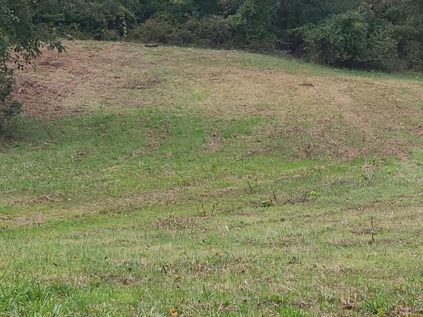 SHILOH CHURCH ROAD, NEWBURG, MD 20664