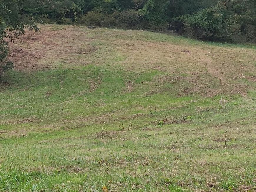 Shiloh Church Road, Newburg, MD 20664 Main Photo