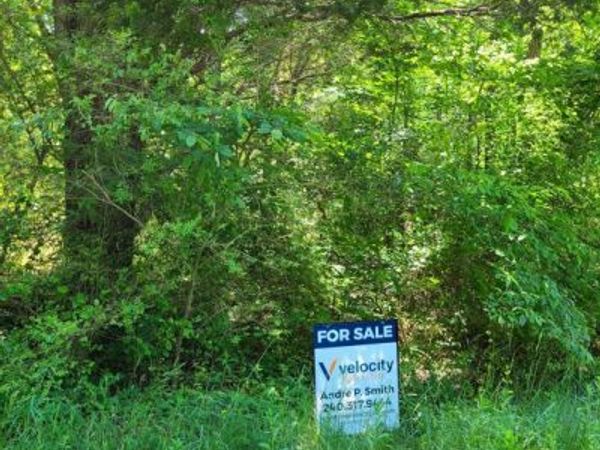 12735 SHILOH CHURCH ROAD, NEWBURG, MD 20664