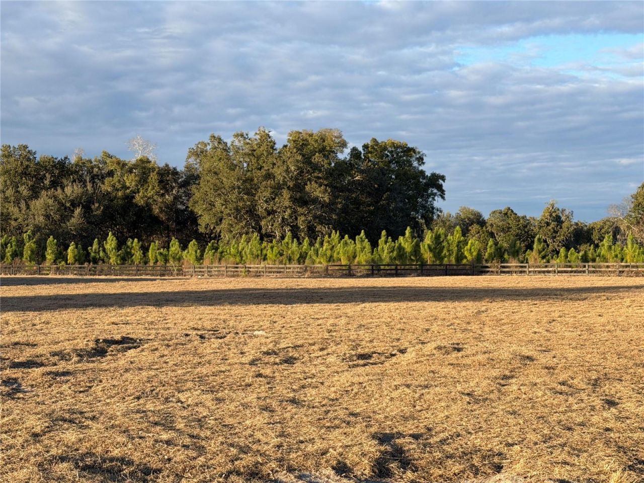 5215 SW 125th Circle, Archer, FL 32618 Photo